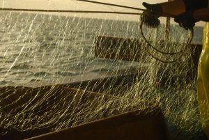 TRASMAR: Evaluating the impact of fishing with “Trasmallo” in benthic habitats to innovate migigation actions collaborating with the spanish fishing sector.