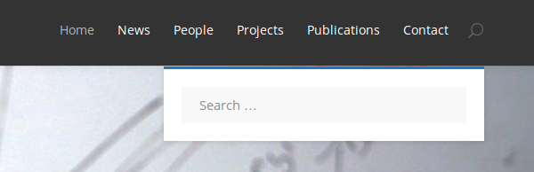search-web