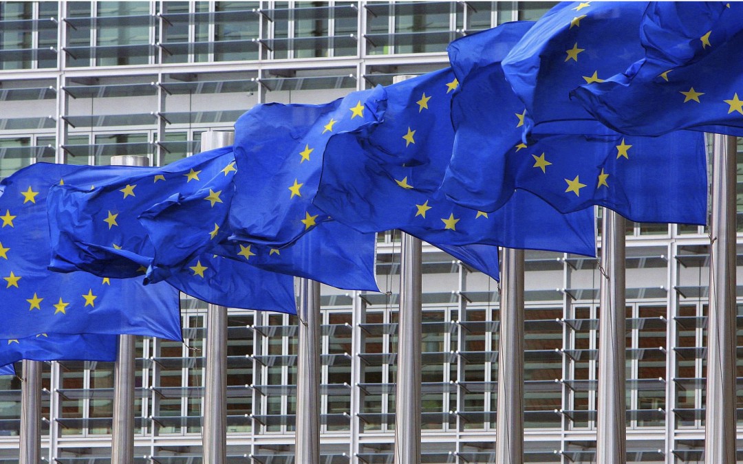 The SRV Group Offers a PhD Exchange under the Program EUROWEB ERASMUS MUNDUS