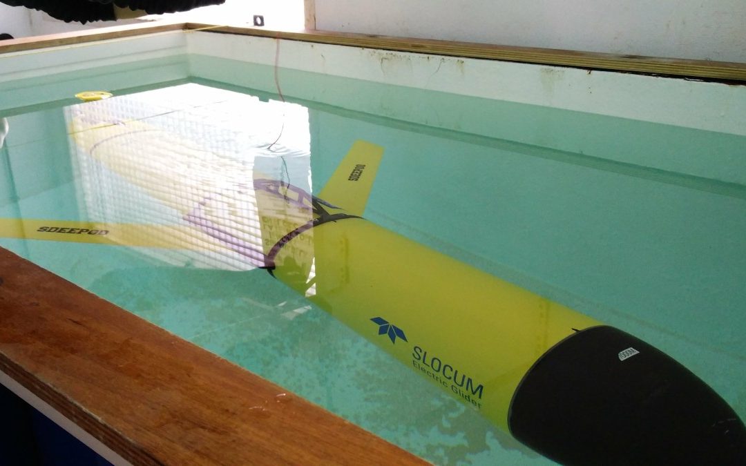 SRV learns from SOCIB how to ballast GLIDERS