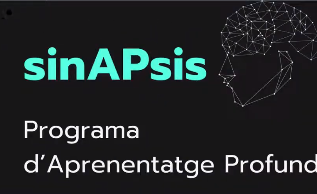 SINAPSIS
