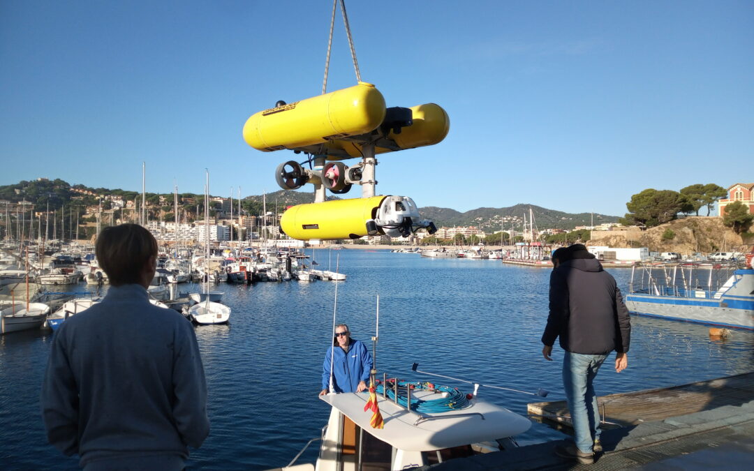 Experiments UdG – UIB in the CIRS and St Feliu de Guixols for detection of fauna in the sea bottom with IA